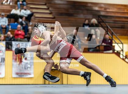 Thumbnail 1 in Terrebonne @ Terrebonne photogallery.