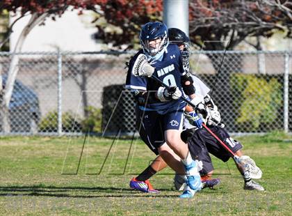 Thumbnail 1 in Palo Verde Black vs Centennial photogallery.