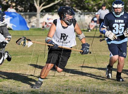 Thumbnail 1 in Palo Verde Black vs Centennial photogallery.