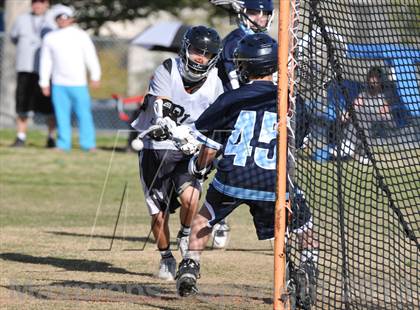 Thumbnail 1 in Palo Verde Black vs Centennial photogallery.