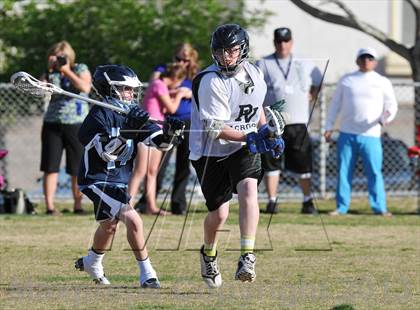 Thumbnail 1 in Palo Verde Black vs Centennial photogallery.