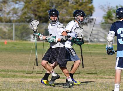 Thumbnail 1 in Palo Verde Black vs Centennial photogallery.