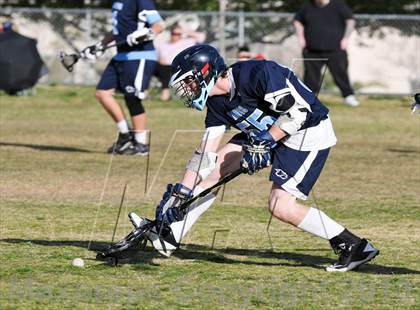 Thumbnail 1 in Palo Verde Black vs Centennial photogallery.