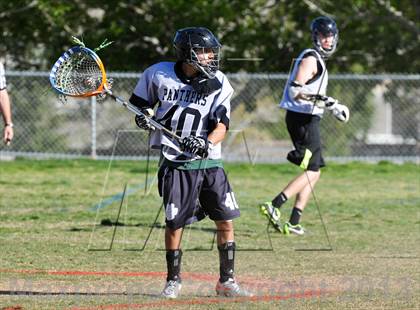 Thumbnail 1 in Palo Verde Black vs Centennial photogallery.