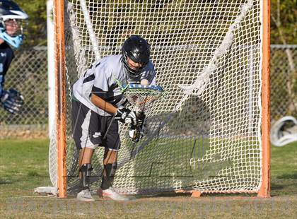 Thumbnail 2 in Palo Verde Black vs Centennial photogallery.
