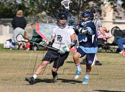 Thumbnail 1 in Palo Verde Black vs Centennial photogallery.