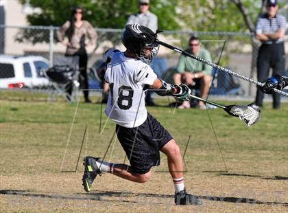 Thumbnail 1 in Palo Verde Black vs Centennial photogallery.