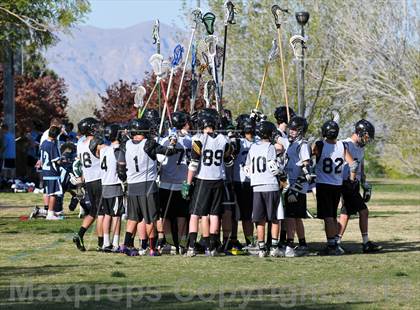Thumbnail 1 in Palo Verde Black vs Centennial photogallery.