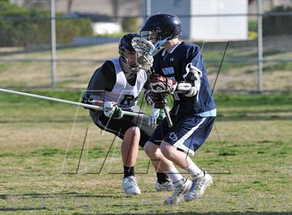 Thumbnail 1 in Palo Verde Black vs Centennial photogallery.