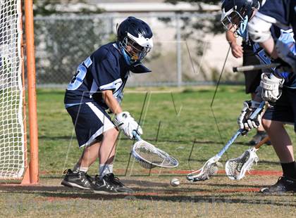 Thumbnail 3 in Palo Verde Black vs Centennial photogallery.