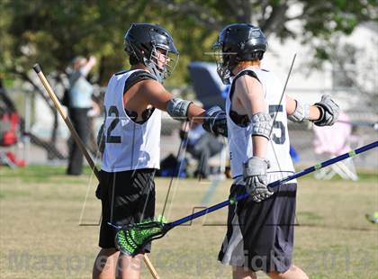 Thumbnail 2 in Palo Verde Black vs Centennial photogallery.