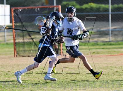 Thumbnail 1 in Palo Verde Black vs Centennial photogallery.