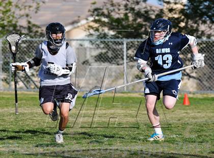 Thumbnail 1 in Palo Verde Black vs Centennial photogallery.