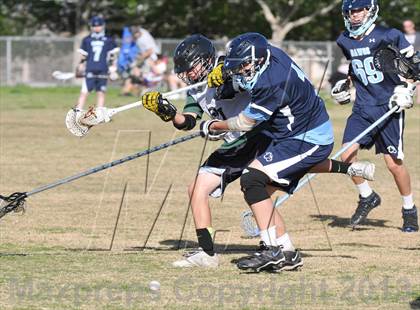 Thumbnail 3 in Palo Verde Black vs Centennial photogallery.