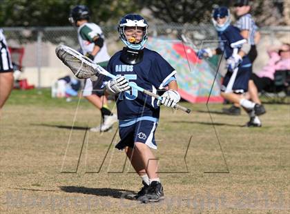 Thumbnail 3 in Palo Verde Black vs Centennial photogallery.