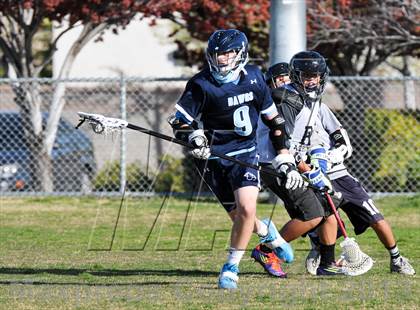 Thumbnail 2 in Palo Verde Black vs Centennial photogallery.