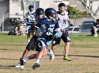Thumbnail 2 in Palo Verde Black vs Centennial photogallery.