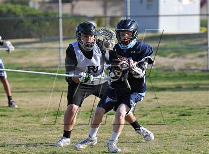 Thumbnail 2 in Palo Verde Black vs Centennial photogallery.