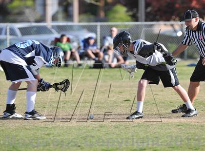 Thumbnail 3 in Palo Verde Black vs Centennial photogallery.