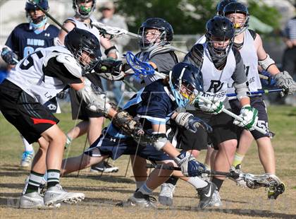 Thumbnail 2 in Palo Verde Black vs Centennial photogallery.