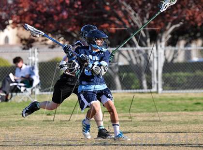 Thumbnail 1 in Palo Verde Black vs Centennial photogallery.