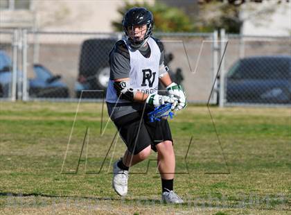 Thumbnail 2 in Palo Verde Black vs Centennial photogallery.