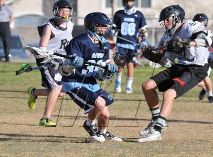Thumbnail 1 in Palo Verde Black vs Centennial photogallery.