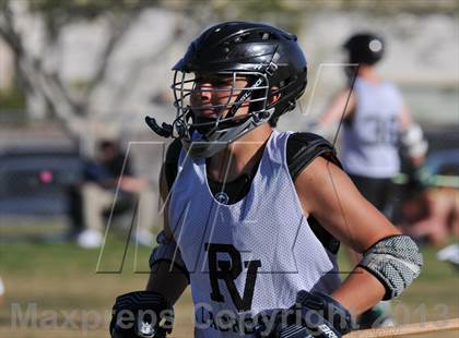 Thumbnail 2 in Palo Verde Black vs Centennial photogallery.