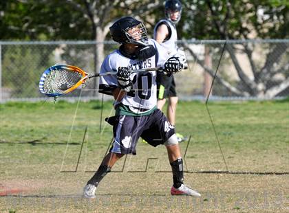 Thumbnail 2 in Palo Verde Black vs Centennial photogallery.