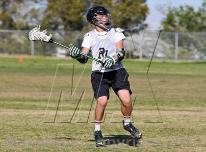 Thumbnail 2 in Palo Verde Black vs Centennial photogallery.