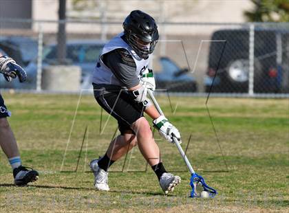 Thumbnail 1 in Palo Verde Black vs Centennial photogallery.