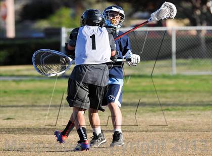 Thumbnail 1 in Palo Verde Black vs Centennial photogallery.