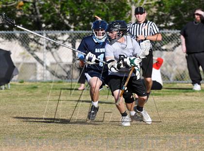 Thumbnail 2 in Palo Verde Black vs Centennial photogallery.