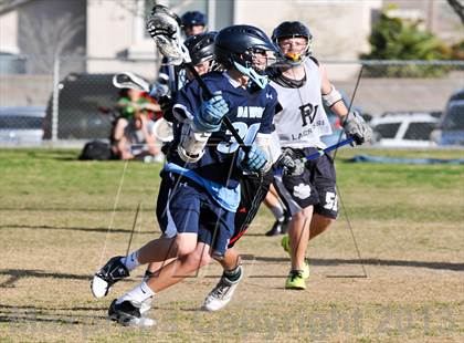 Thumbnail 1 in Palo Verde Black vs Centennial photogallery.