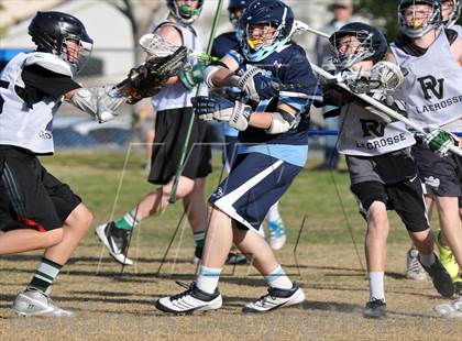 Thumbnail 1 in Palo Verde Black vs Centennial photogallery.
