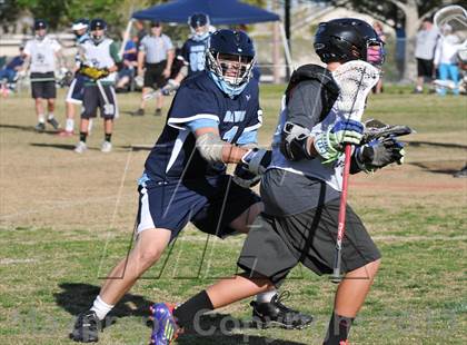 Thumbnail 1 in Palo Verde Black vs Centennial photogallery.