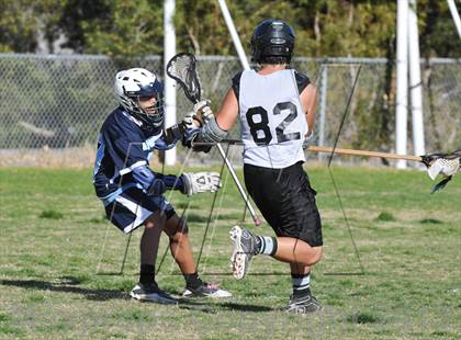 Thumbnail 1 in Palo Verde Black vs Centennial photogallery.