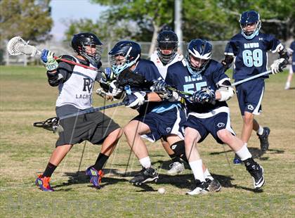 Thumbnail 1 in Palo Verde Black vs Centennial photogallery.