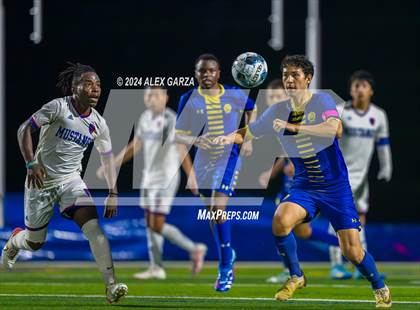 Thumbnail 1 in Jefferson @ Alamo Heights photogallery.