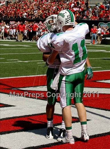 null - Photo 31