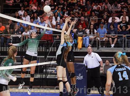 Thumbnail 1 in Cactus @ Flagstaff (AIA D3 Final)  photogallery.