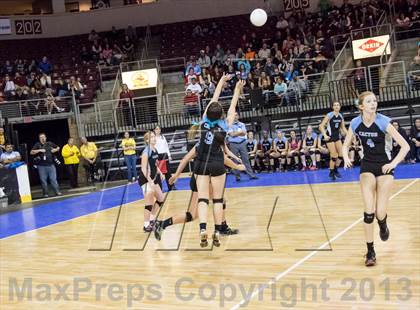 Thumbnail 3 in Cactus @ Flagstaff (AIA D3 Final)  photogallery.