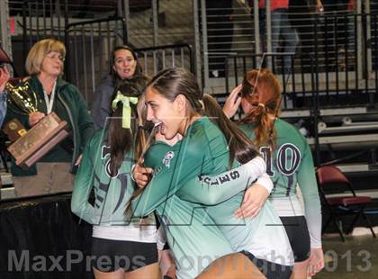 Thumbnail 2 in Cactus @ Flagstaff (AIA D3 Final)  photogallery.