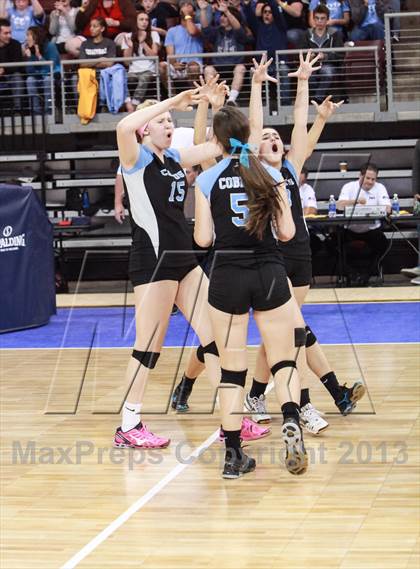 Thumbnail 3 in Cactus @ Flagstaff (AIA D3 Final)  photogallery.