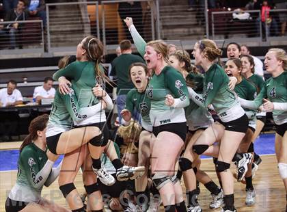 Thumbnail 1 in Cactus @ Flagstaff (AIA D3 Final)  photogallery.