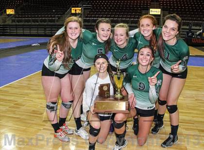 Thumbnail 3 in Cactus @ Flagstaff (AIA D3 Final)  photogallery.
