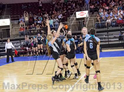 Thumbnail 2 in Cactus @ Flagstaff (AIA D3 Final)  photogallery.