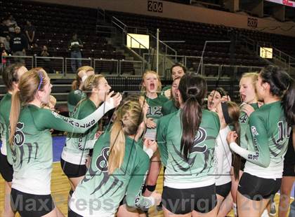 Thumbnail 1 in Cactus @ Flagstaff (AIA D3 Final)  photogallery.