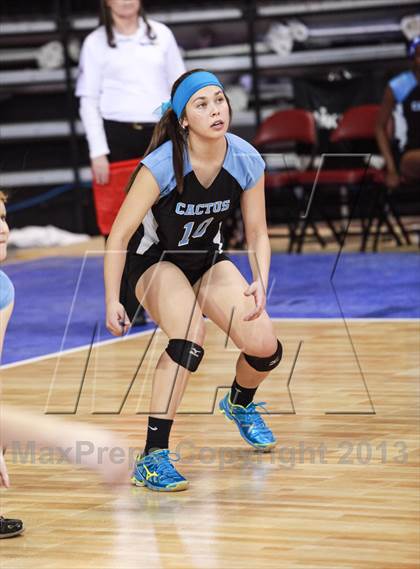 Thumbnail 1 in Cactus @ Flagstaff (AIA D3 Final)  photogallery.