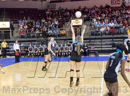 Thumbnail 3 in Cactus @ Flagstaff (AIA D3 Final)  photogallery.